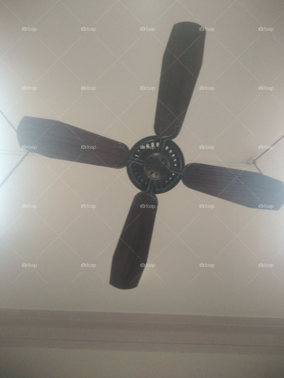 Ceiling fan 1955
