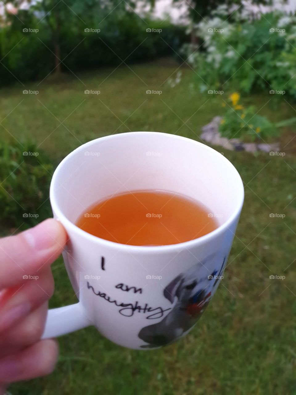 Have a nice cup of tea in your own garden on a summer day - isn't it a great idea?