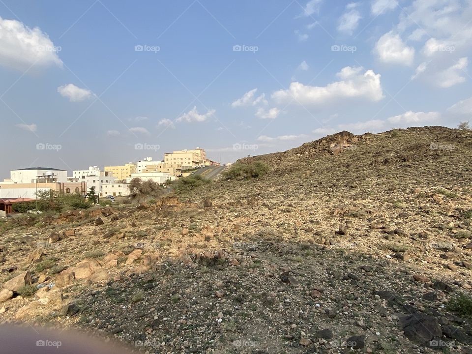 Amazing photo for desert 🌵