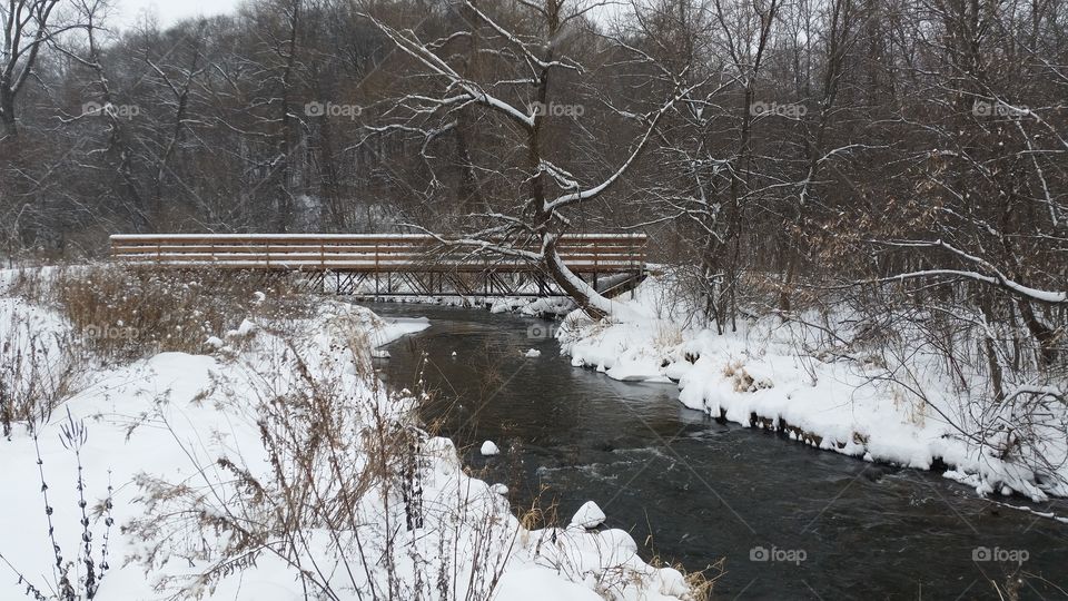 snow covered bridge over credit river
