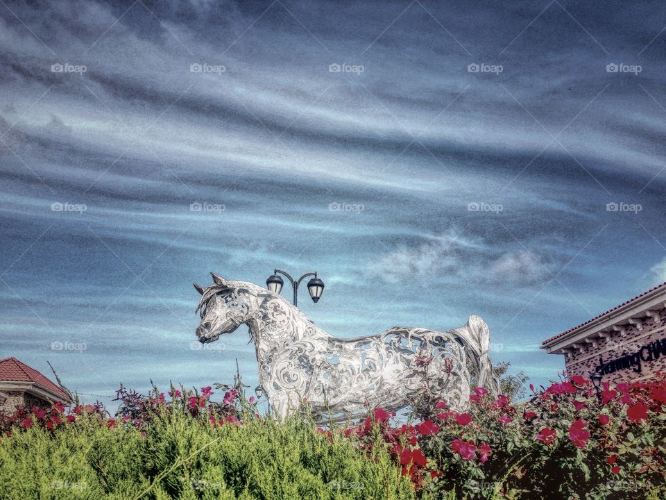 "Arabian" by artist Victoria Reed