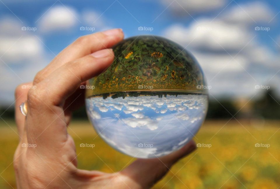 Sky and sunflowers field upside down through the crystal ball