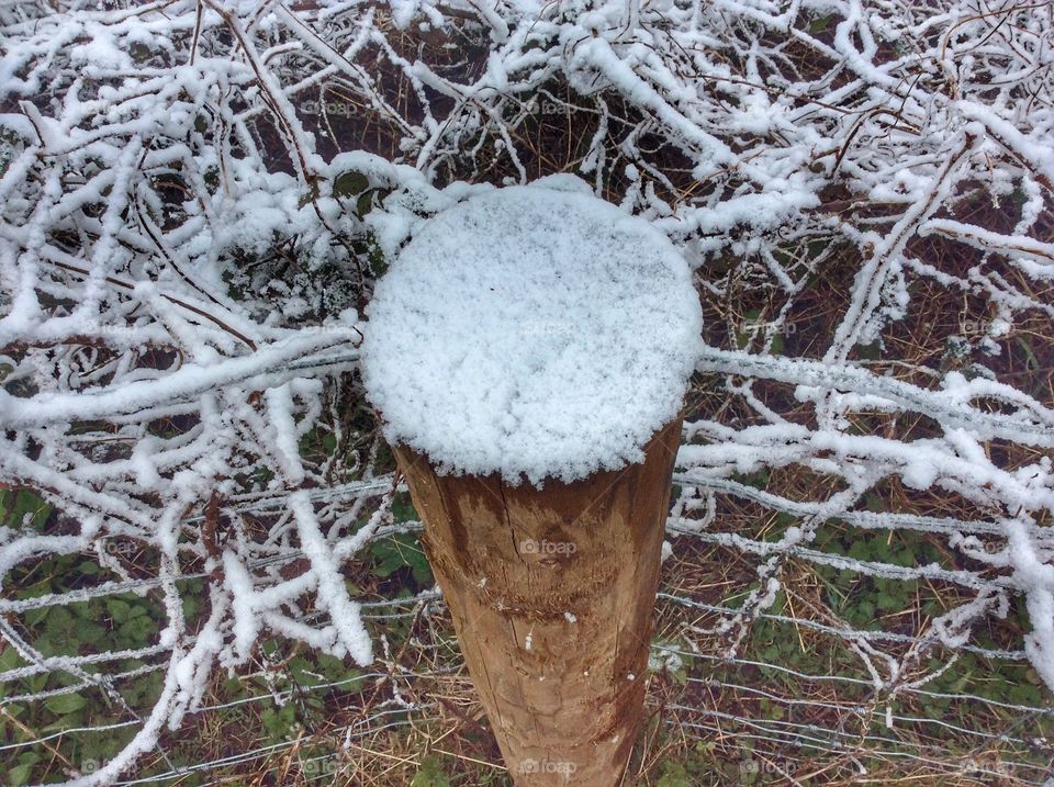 Snowy pole
