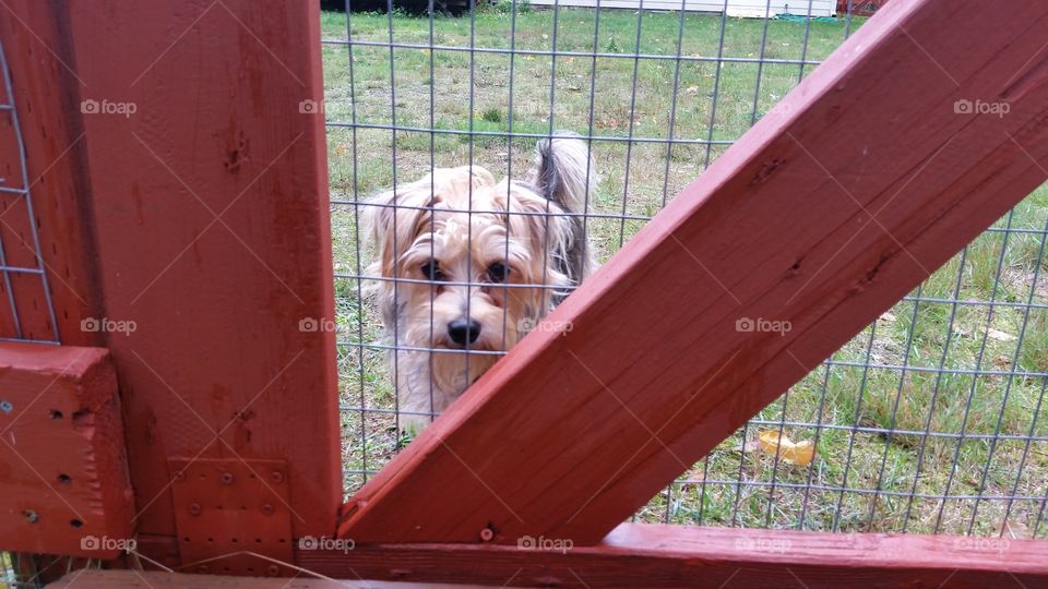 Please let me out