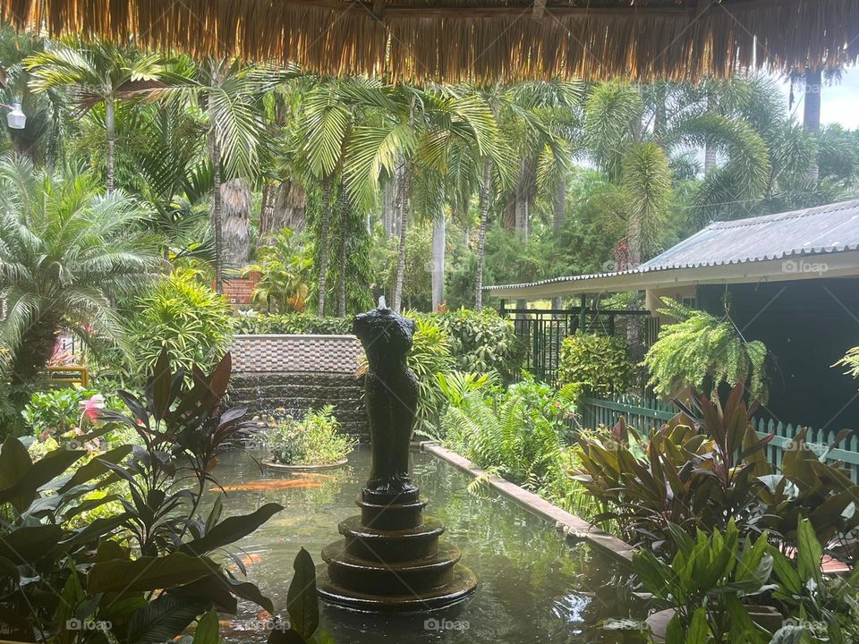 this true photo is aphoto that was takn at the zoo in kingston jamaica , and i will give all creadit to my princess.