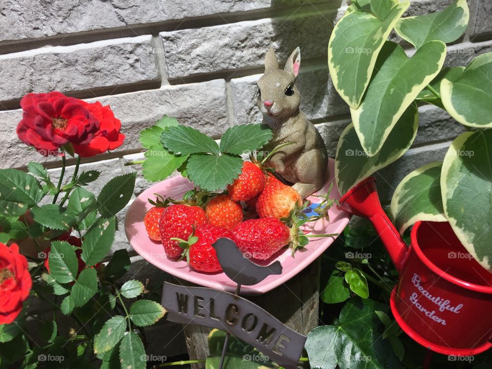 strawberry 