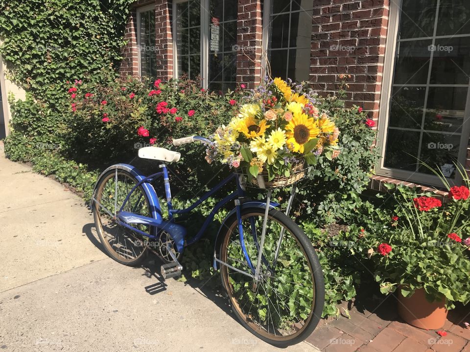 Bike with basket of flowers 