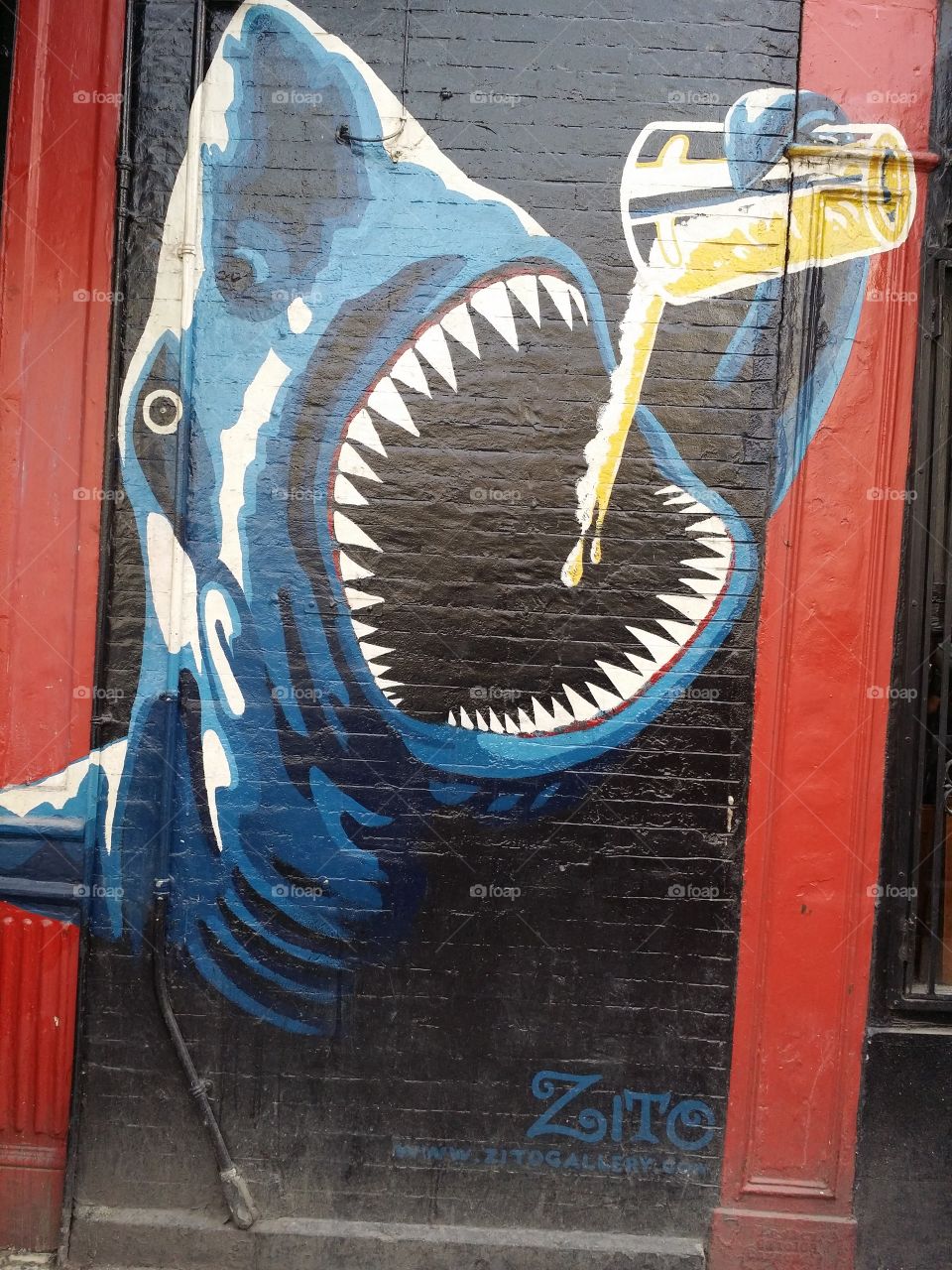 Shark drinking his Beer