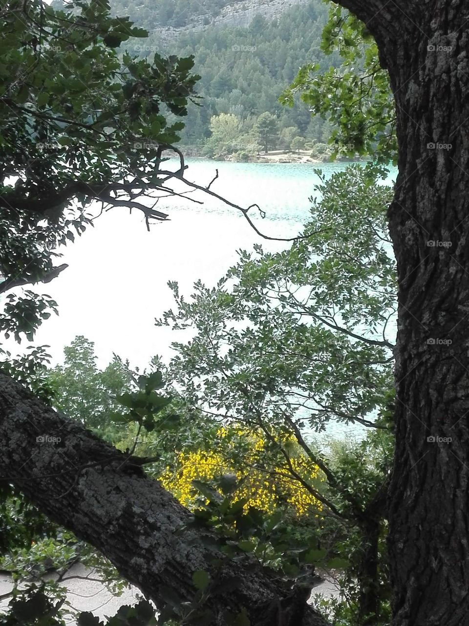 The gorges du Verdon , Ardèche , France