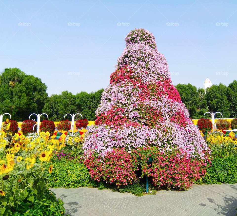 beautiful flower tree