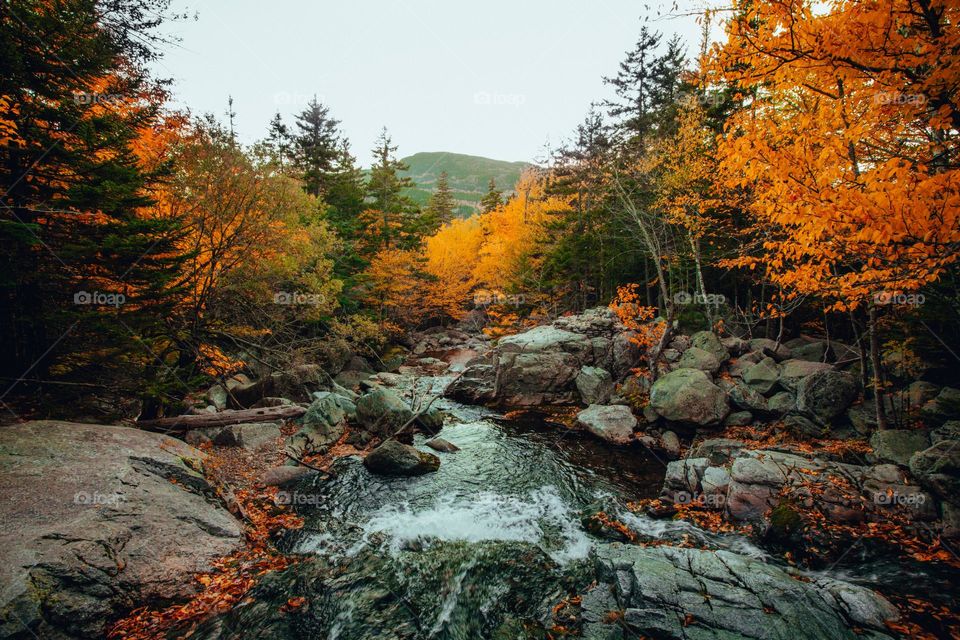 Beautiful nature scenery on both sides of the river