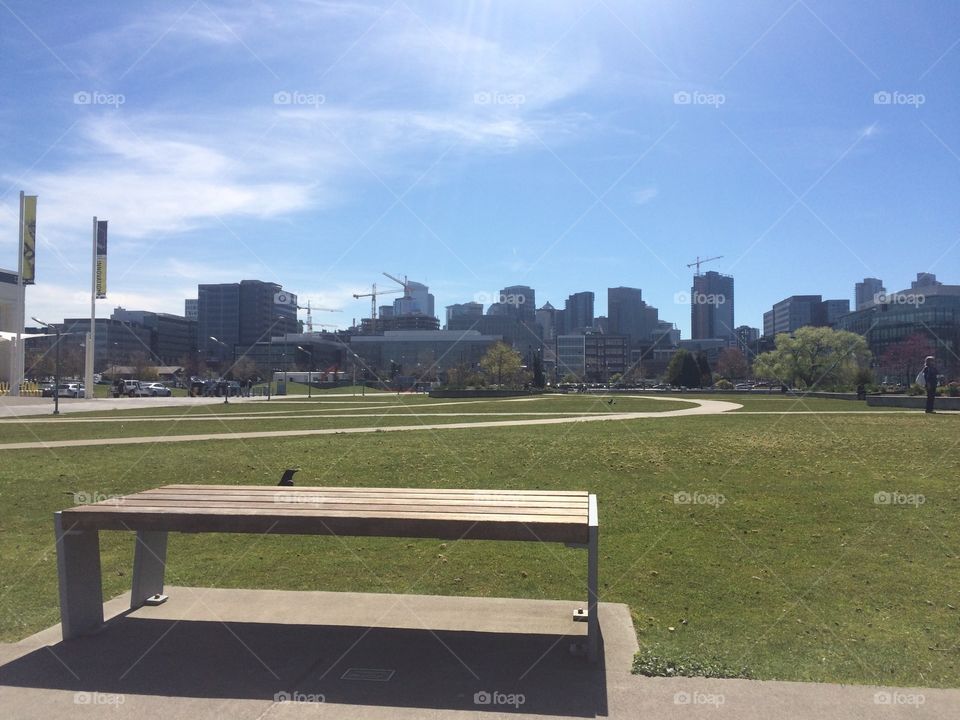 A bench in the foreground, with the Seattle sky line in the background.
