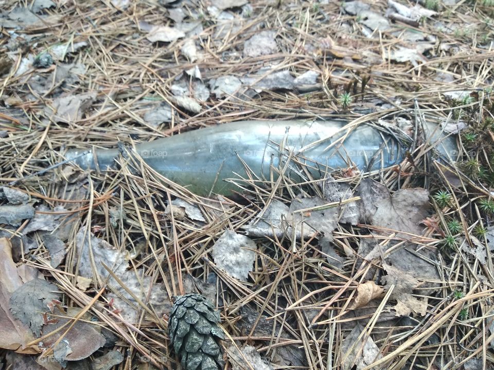 An old glass bottle in the woods on dry grass