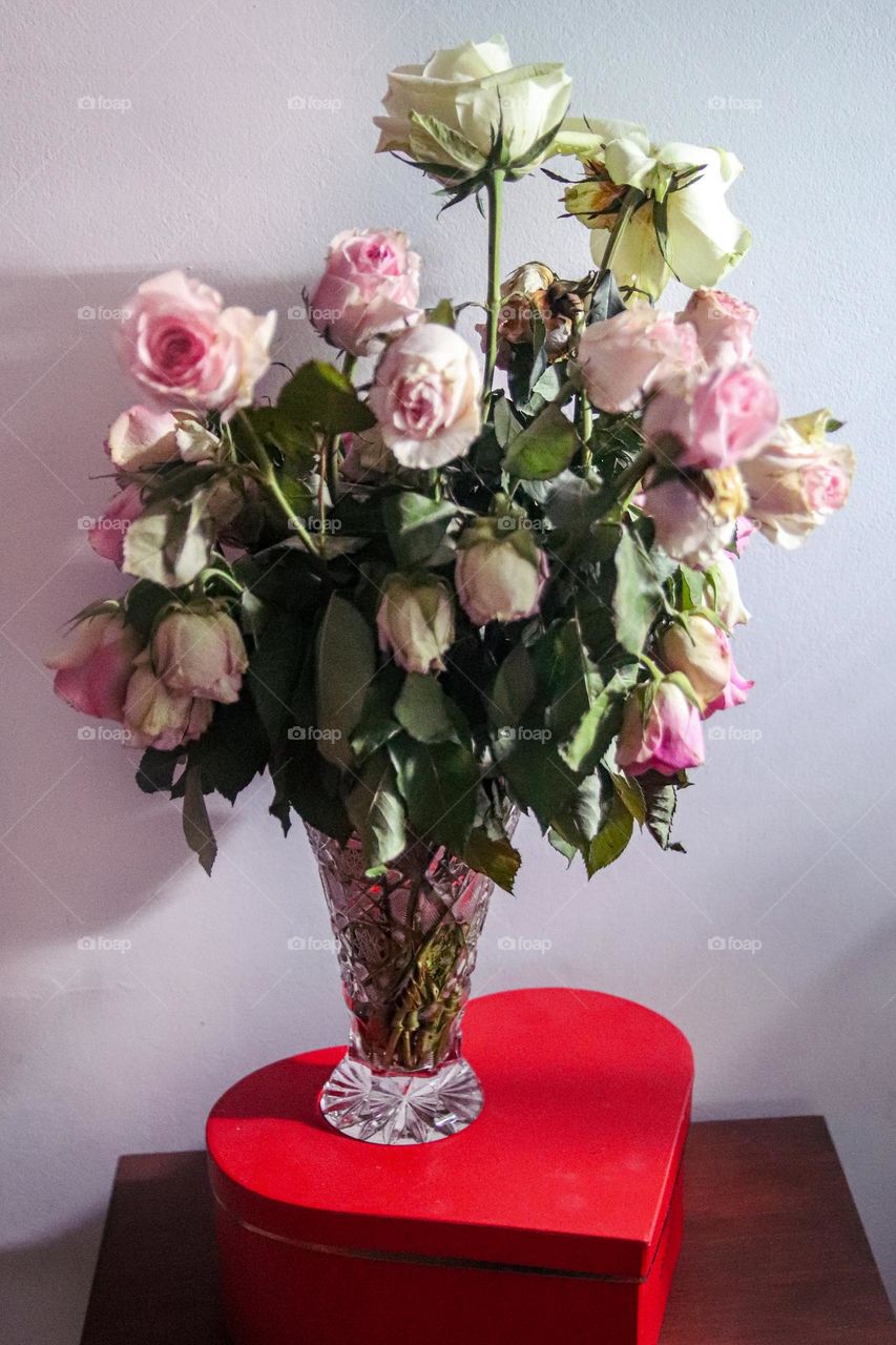 Pink roses in a vase