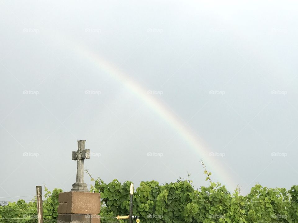 Rainbow over vineyard at St. Joseph’s winery