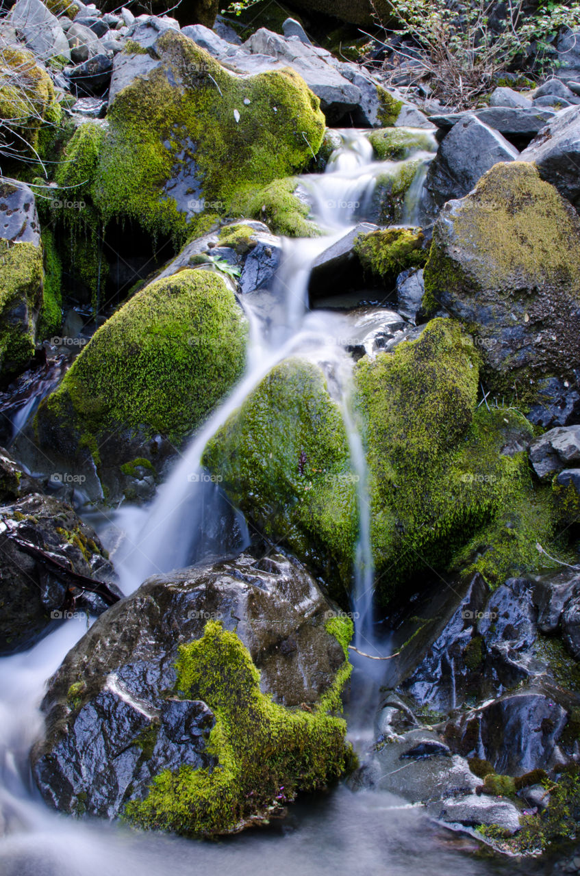 A Quiet Creek. Found this amazing place while backpacking. 