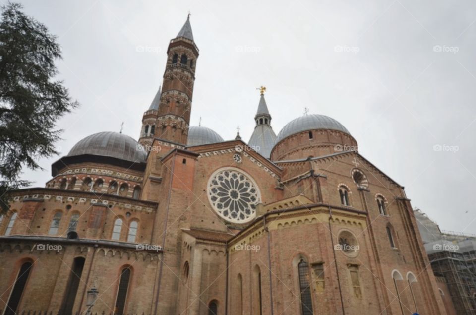 The tomb of saint anthony