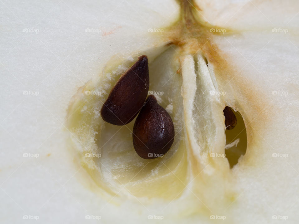 apple seed