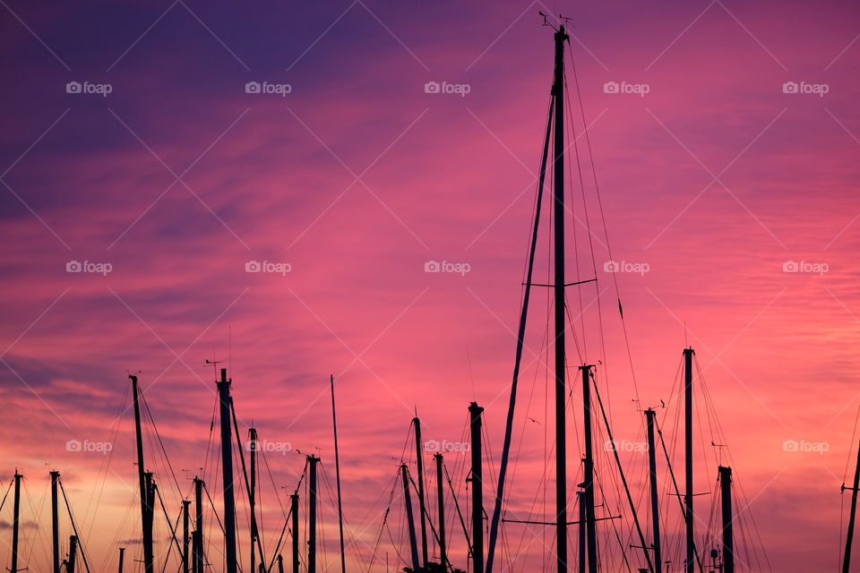 Bird lined up in the miss landing harbor with a bright vibrant sunset pink and purple