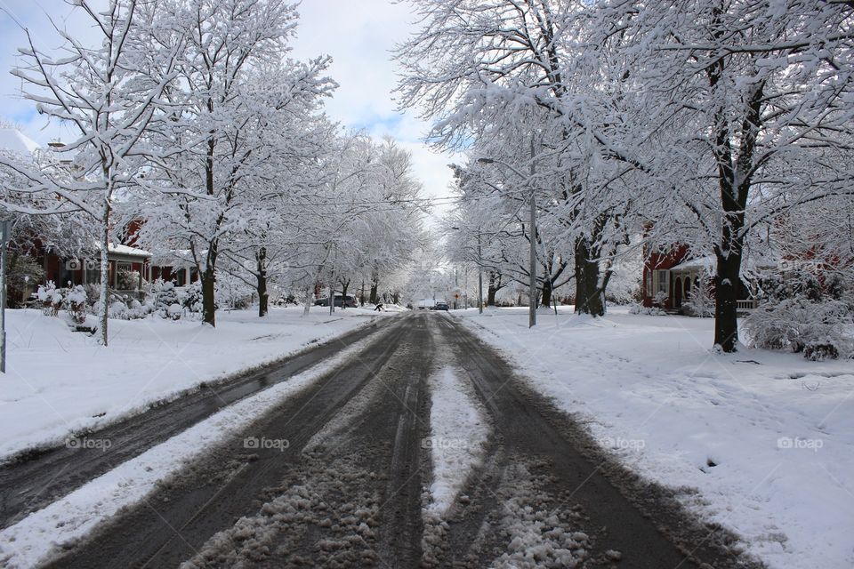 Frosty Lane.