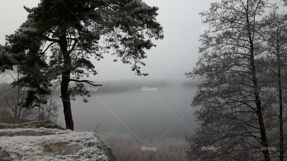 Wiev over the lake on a foggy winter day