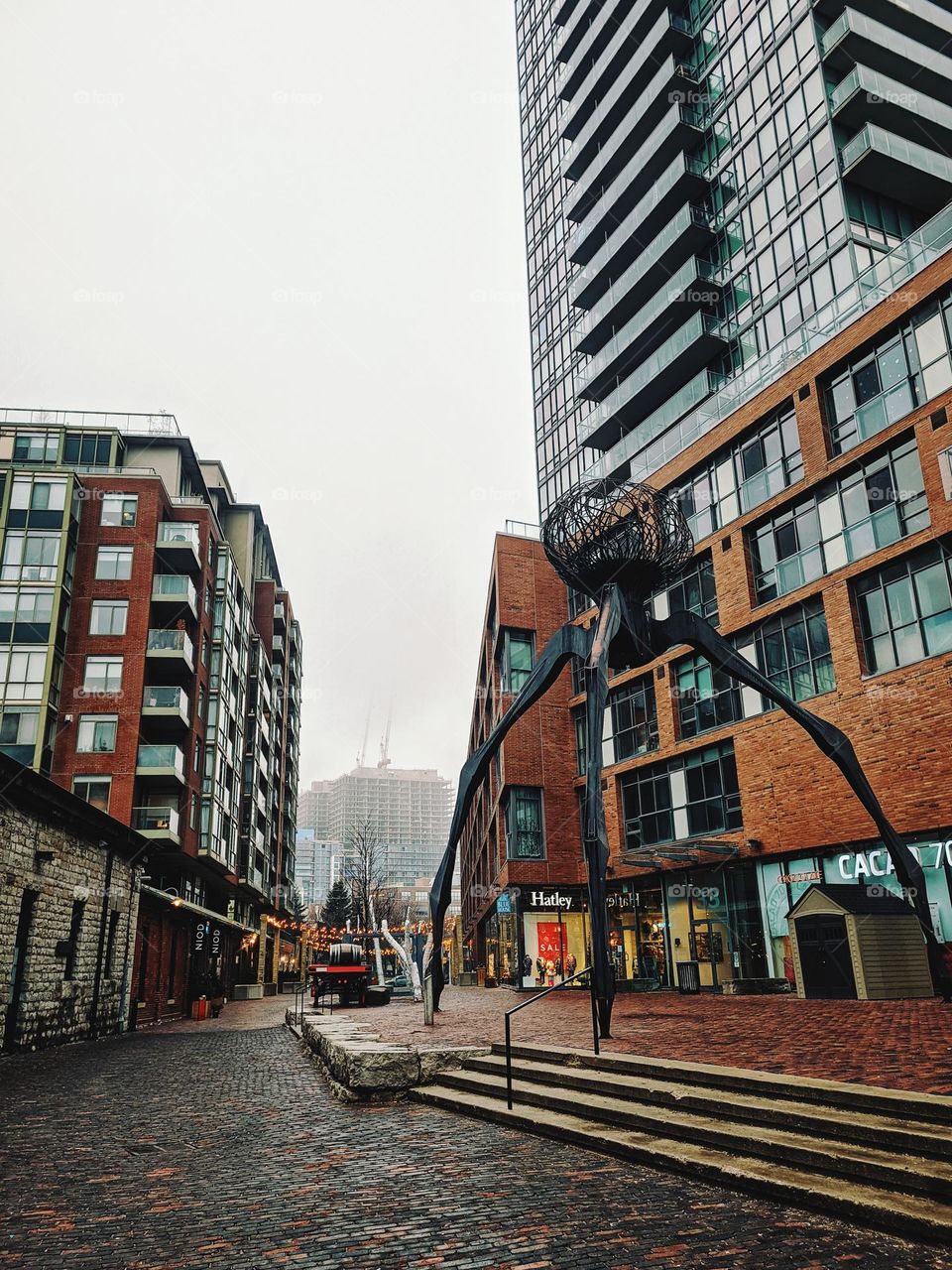 Toronto,  Canada. Urban City, Street,  view. Traffic. Modern architecture.  Landmark