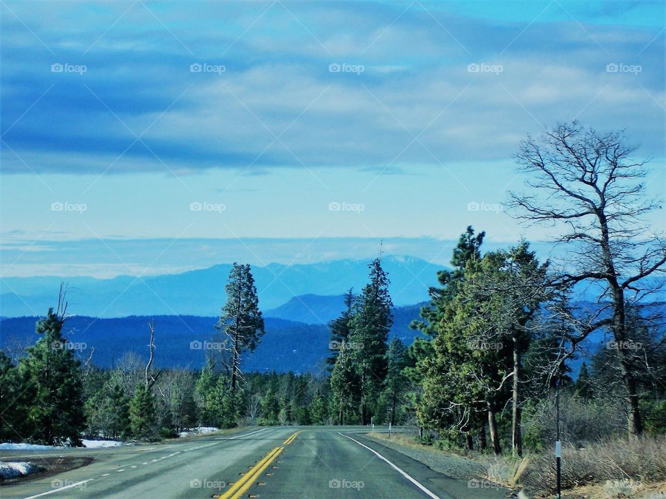 roadside view of the beautiful landscape in Northern California