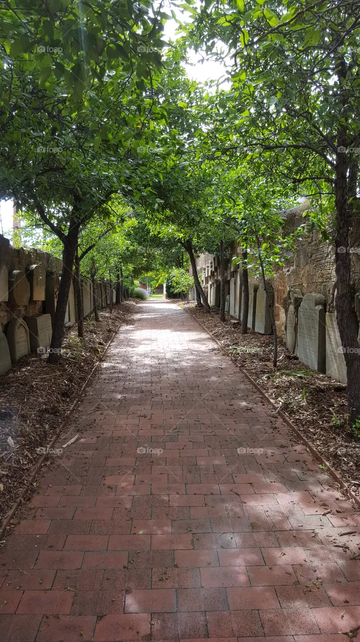 pathway