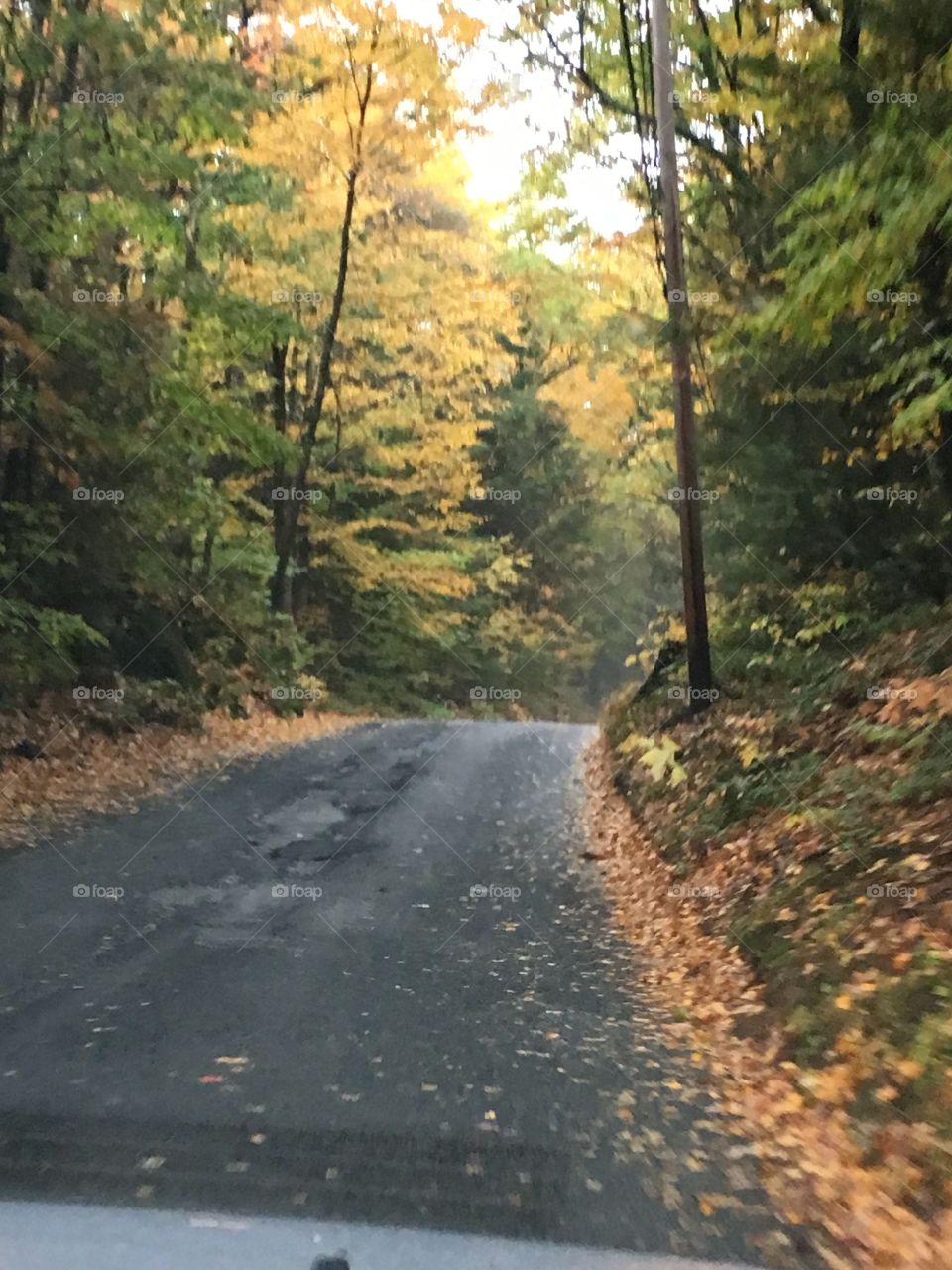 Driving thru the forest on an Autumn day