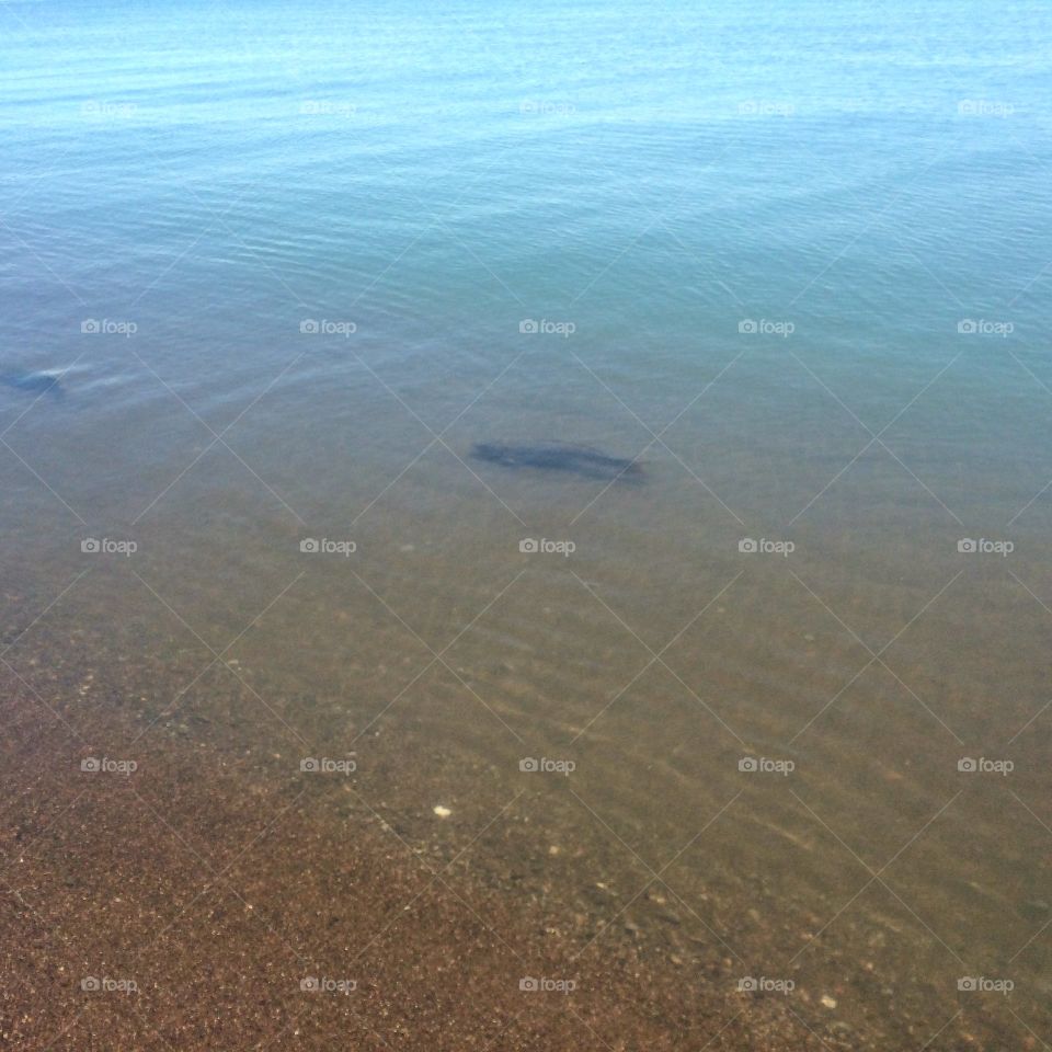 Sea, Water, Ocean, Beach, Landscape