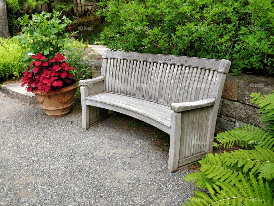 Empty bench in Thuya Garden @AcadiaNationalPark
