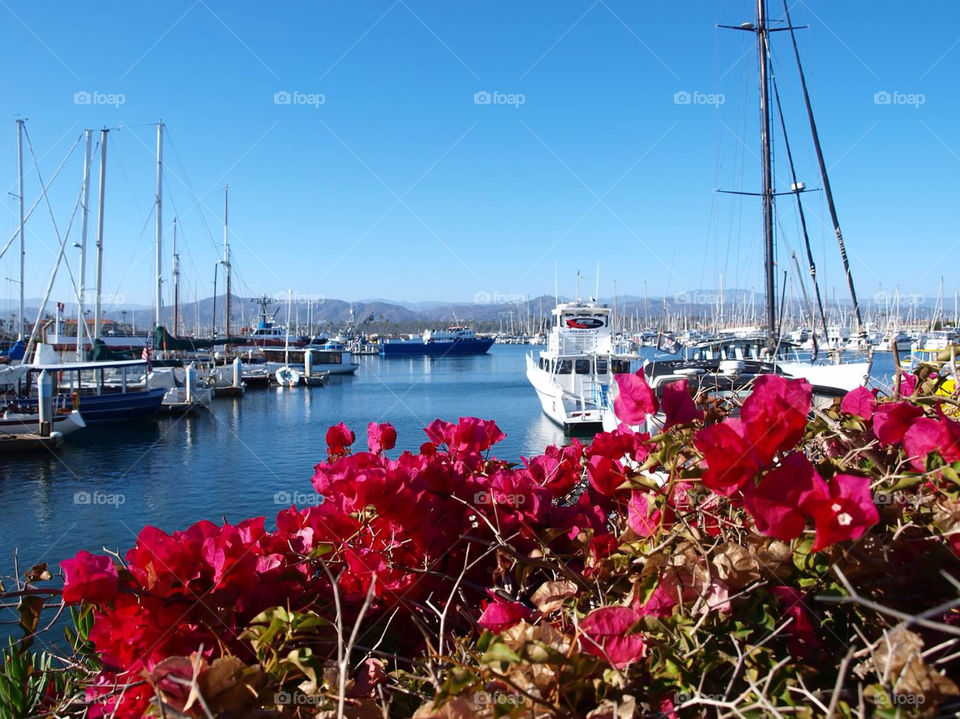 ventura harbor california harbor ventura by ezdrossi