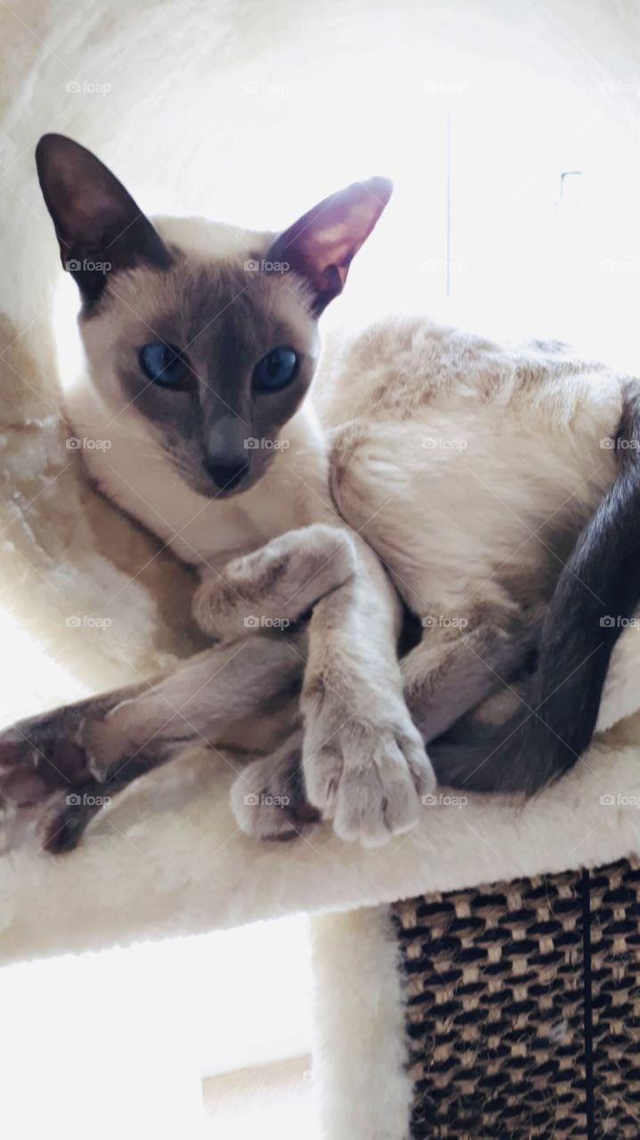 Sitting comfortable 👌