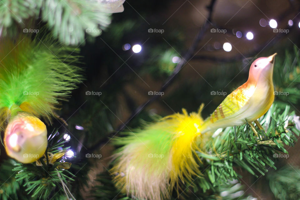 Christmastree bird