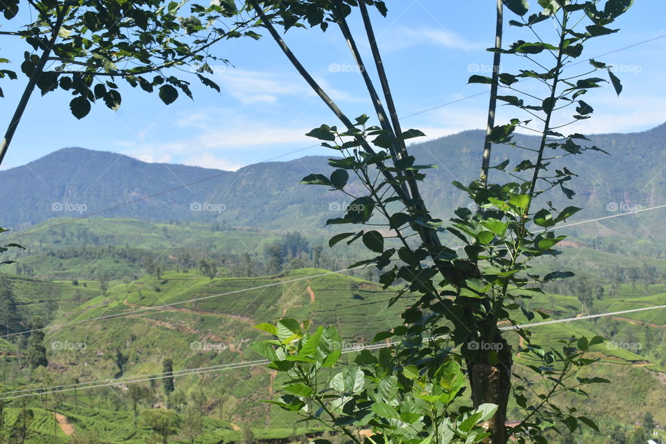 Beautiful nature around us😉