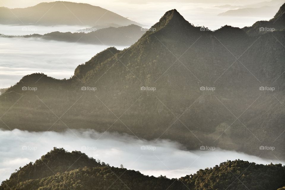 Landscape view of mountain and mist