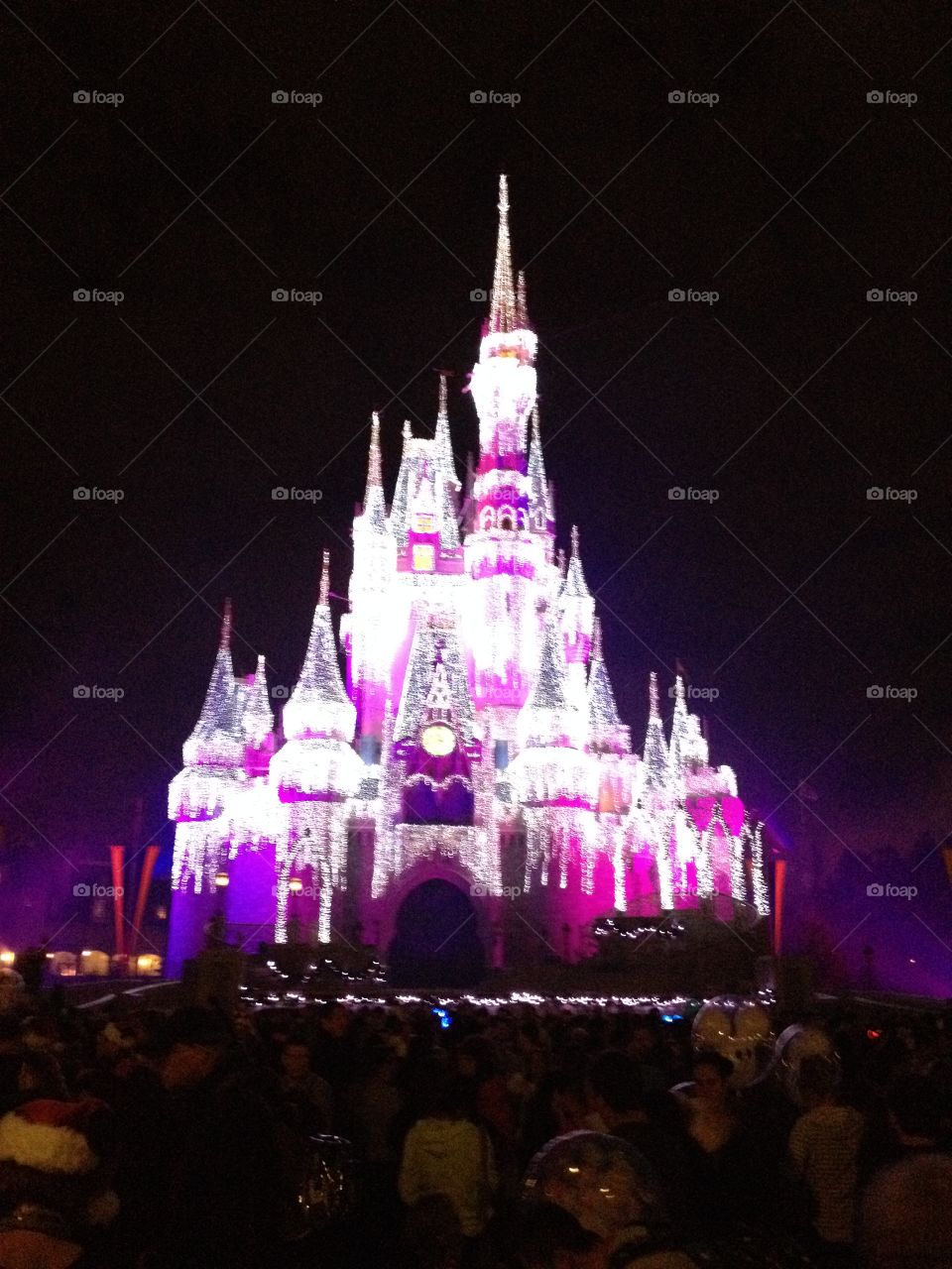 Disney World at Christmas 