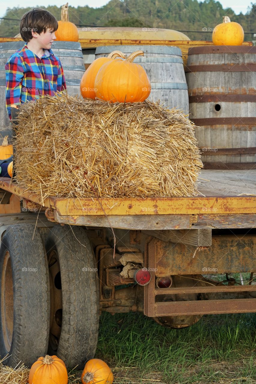 Young Boy On A Farm Truck In October