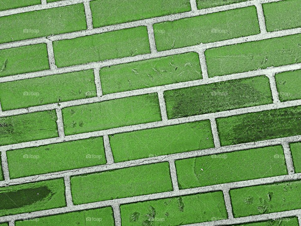 Green bricks