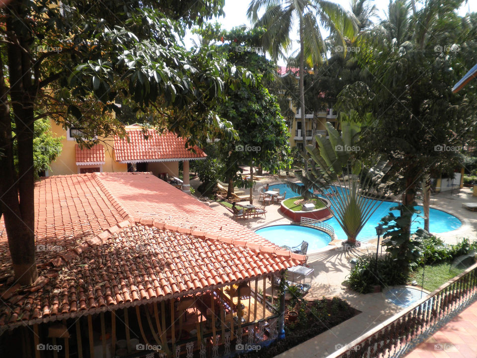 tree hotel pool resort by gaurav2186