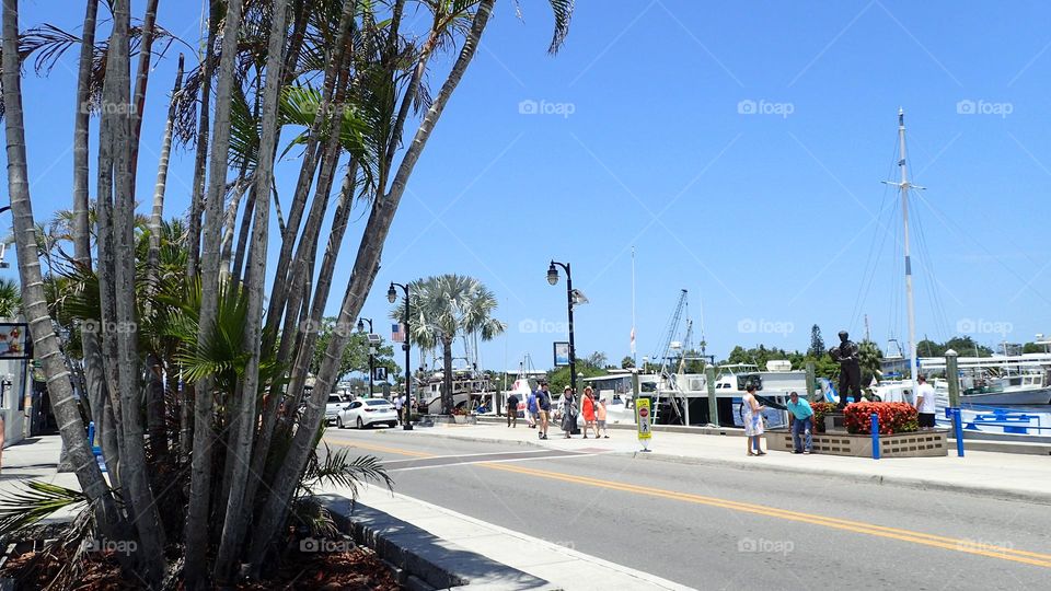 Summer in the city walking by the docks Tarpon Springs Florida USA