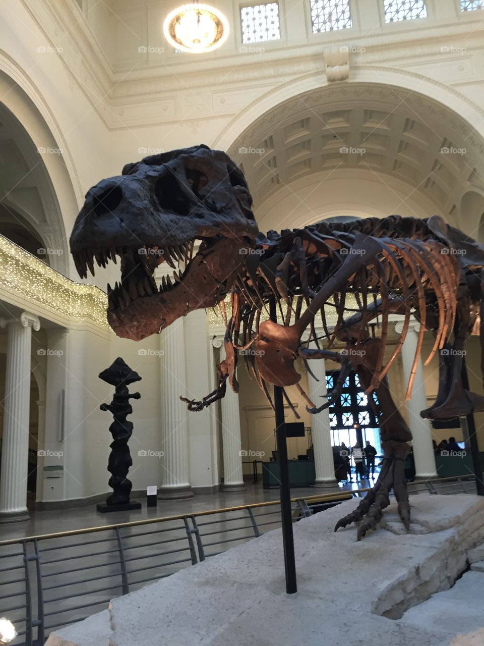 Sue the T-Rex Fields Museum