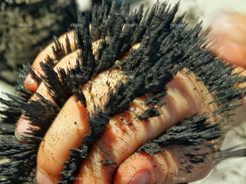 Magnetism In Action. Magnetic Iron Filings Standing Up On A Child's Hand
