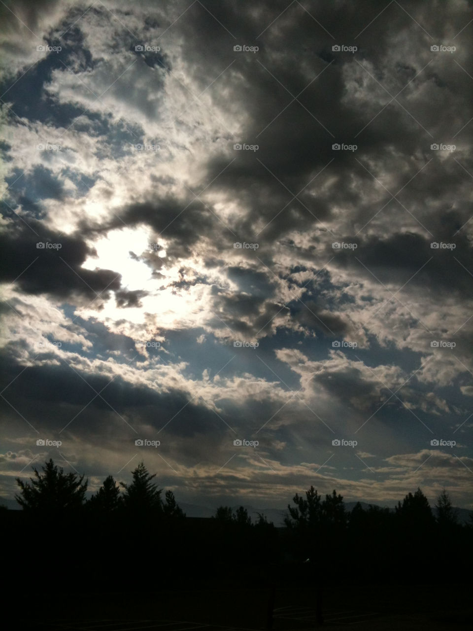 sky morning clouds trees by melody