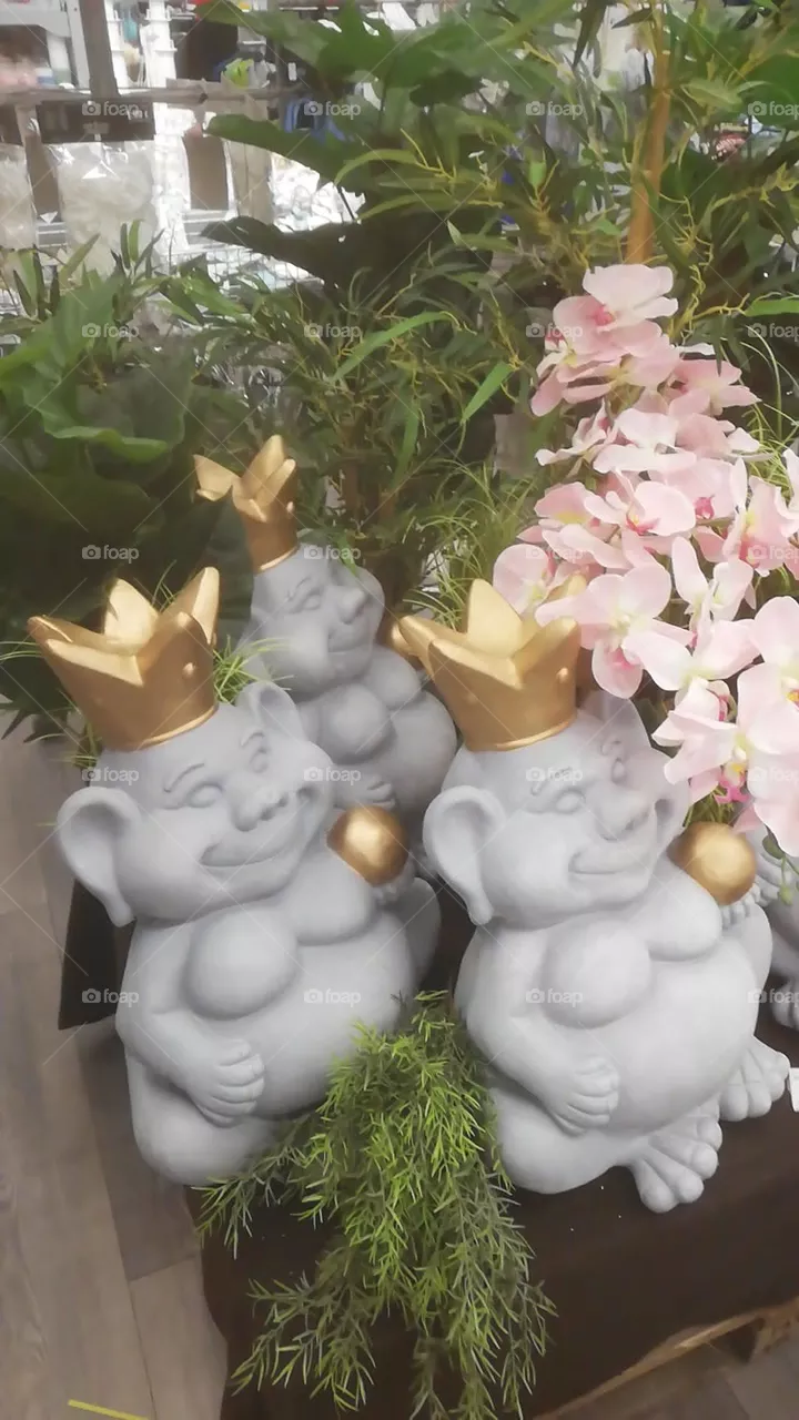 Frosch Königin 