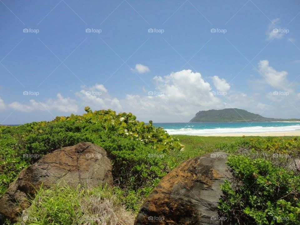 Beach Ocean view in Hawaii