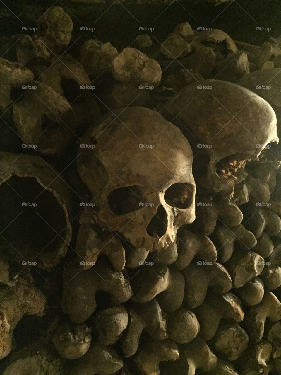 Skull 