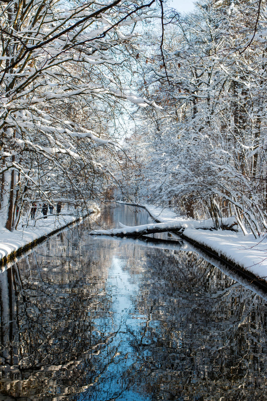 Snow covered trees reflecting on the river