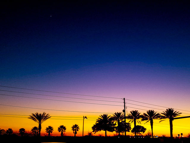 sunset silhouette