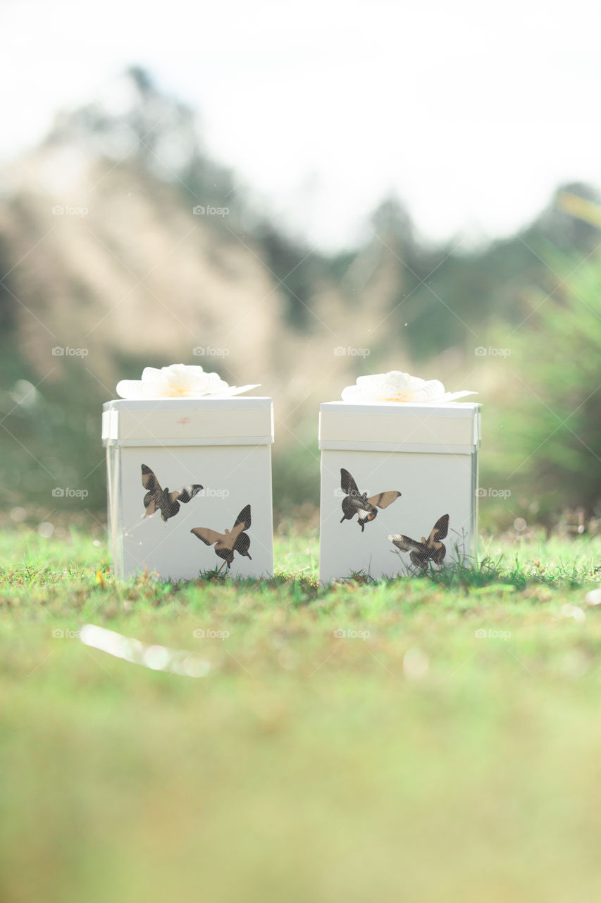 Two White Butterly Release Boxes